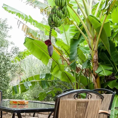 Village Aparthotel 3*